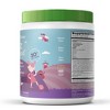 Amazing Grass Kidz Superfood Vegan Powder - Berry - 6.35oz - image 3 of 3