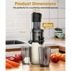 SKONYON Electric Juicer Cold Press Juicer 3.2 Inch Wide Chute 40oz Juice Container High Juice Yield Easy to Clean for Fruits and Vegetables - 2 of 4