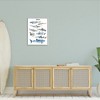 Stupell Industries Shark Chart Watercolor Marine Animals Framed Giclee Art - 3 of 4