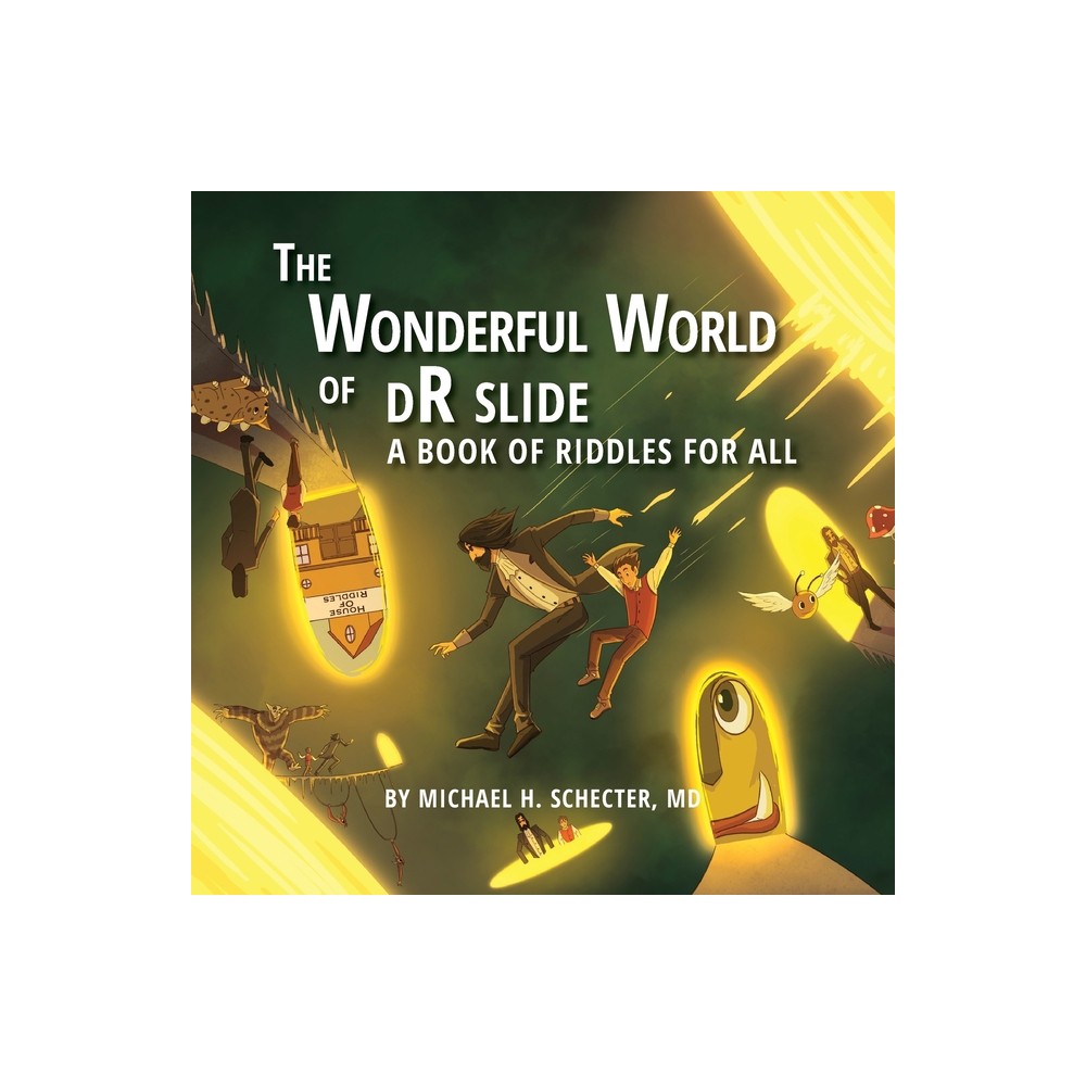 The Wonderful World of dR slide - by Michael H Schecter (Paperback)