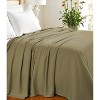 HomeRoots Twin Sage Cotton Woven Chevron Blanket - 2 of 4