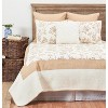 C&F Home 26" x 26" Harlow Cotton Euro Sham - Machine Washable - 4 of 4