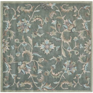 Jardin JAR461 Hand Tufted Area Rug - Safavieh - 1 of 3