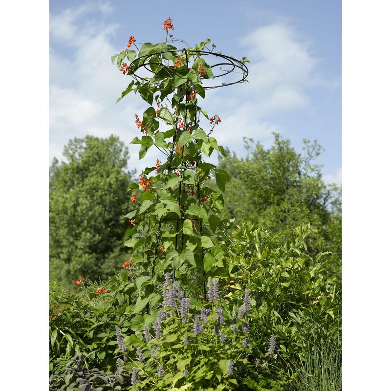 Gardener's Supply Company Essex Trellis For Climbing Plants Outdoor | Sturdy Upright Garden Trellis for Vines, Tomatoes, Peas & Other Live Plants, 5 of 6
