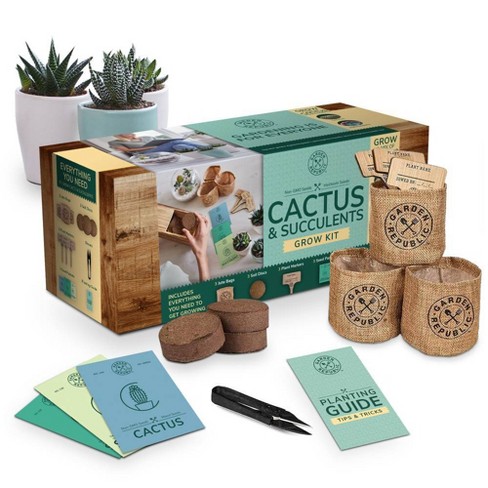 Garden Republic Cactus And Succulent Starter Kit : Target