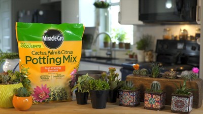 Miracle-Gro Cactus Palm Citrus Potting Soil - 8qt: Enriched Mix for Indoor  Plant Growth, Fast Drainage : Target