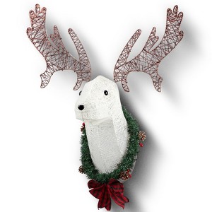 39" Pre-Lit 3D Reindeer Head Wall Decor, Lighted Rudolph Hanging Wreath for Front Door, Window, Indoor/Outdoor Christmas Display” - 1 of 4