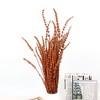 Alilang Decorative Dried Greenery Stems for Home Decoration and Floral Arrangements, 17.7 Inches - 2 of 3