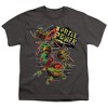 Teenage Mutant Ninja Turtles: Mutant Mayhem Turtle Power Brothers Kids T Shirt For Youth, Charcoal - 2 of 4