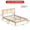 TROPOW Boho Rattan Bed Frame, Wooden Bed Platform with Storage, Smart RGB LED Natural Rattan Headboard, No Box Spring Needed, Under Bed Storage - 3 of 4