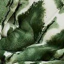 green willow