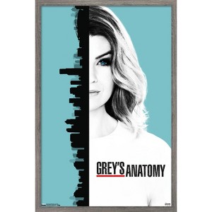 Trends International Grey's Anatomy Season 13 - One Sheet Framed Wall Poster Prints - 1 of 4