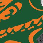 florida a&m rattlers