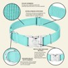 Country Brook Petz Premium Nylon Dog Collar with Metal Buckle for Small Medium Large Breeds - Vibrant 30+ Color Selection - 4 of 4