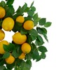 Northlight Lemons and Leaves Artificial Spring Wreath, Yellow - 18-Inch - 3 of 4