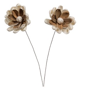 Vickerman 4" Natural Botanicals Dried Sola Flower on Wire Stem - 1 of 4