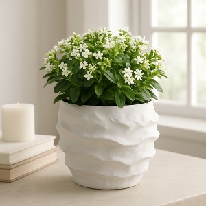 Decorative Ceramic Flower Pot for Home Decor - Indoor and Outdoor Planter - Art-Inspired Plant Pot for Garden, Patio, Shelf, or Entryway - 5" White - 1 of 4