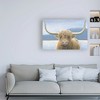 Trademark Fine Art -James Wiens 'Highland Cow' Canvas Art - 3 of 3