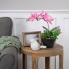 Northlight 13" Orchid with Succulent Artificial Potted Plant - Pink - 2 of 4