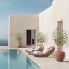 Olive Trees Artificial Indoor, 5FT Tall Olive Tree Plants, Faux Olive Tree with Realistic Trunk, Leaves, Fruits for Home Office Decor - 4 of 4