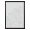 18" x 24" Blake Succulent 5 by Emiko and Mark Franzen of F2 Images Framed Printed Glass Gray - Kate & Laurel All Things Decor - 4 of 4