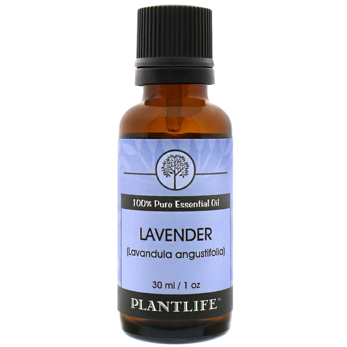 Plantlife Lavender Bulgarian Essential Oil – Therapeutic Grade – Natural, Undiluted & Steam-Distilled – No Additives or Fillers - thumbnail 5