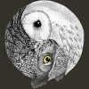 Junior's Design By Humans Balance By ZENFOAM T-Shirt - 2 of 3