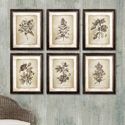 Set of 6 Vintage Botanical Framed Prints with Black and Gold Accents