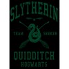 Men's Harry Potter Slytherin Quidditch Team Seeker T-Shirt - image 2 of 4