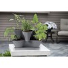 Bloem Collins Modular 2-Tier Multi-Level Vertical Herb Planter, Charcoal - 4 of 4