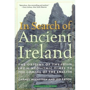 In Search of Ancient Ireland - by  Carmel McCaffrey & Leo Eaton (Paperback) - 1 of 1