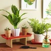 Juvale 8 Pack Plastic Plant Drip Trays for Pots, Rectangular Saucer Pans for Planters and Water Drainage, Indoors, Outdoors, Terracotta Red, 6.5x12 in - 2 of 4