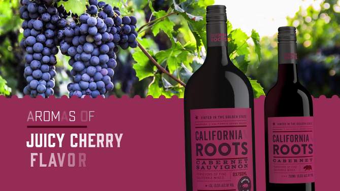 Cabernet Sauvignon Red Wine - 750ml Bottle - California Roots&#8482;, 6 of 7, play video