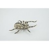 Collectible Wildlife Gifts | Spider, Wolf, Arachnids, Museum Quality, Hand Painted, Rubber Insect, Model,  Toy, Gift,   3 1/2"   CH530 BB158 - 4 of 4