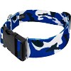 Country Brook Petz HossFit Jr Wide Deluxe Dog Collar - Sports and Athletics Collection - 2 of 4