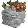 Classic Home and Garden Cement Buddies Indoor/Outdoor Planter with Drainage Hole, Frog - 2 of 4