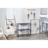 Nordlys Industrial Black Metal Console Table Industrial Style Living Room - 3 of 4