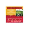 Tea India Ginger Chai Black Tea with Real Ginger with 80 Round Tea Bags Pack of 12 - 2 of 4