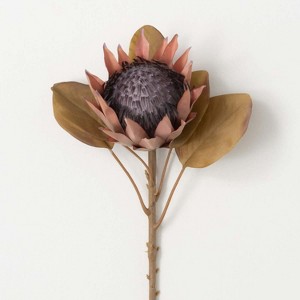 Sullivans Artificial Dried Protea Stem 26"H - 1 of 3