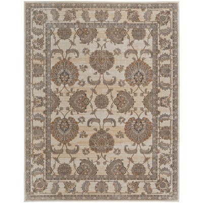 Celene Traditional Bordered Tan/Ivory/Brown Area Rug