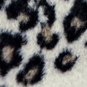 ivory snow leopard