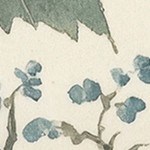 farmhouse gray