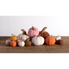 Shiraleah Assorted Set Of 6 Felt Fall Decorative Pumpkins - 4 of 4