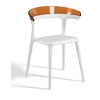 Omax Decor,Mia Resin Patio Dining Chair - (Set of 2) - 2 of 4