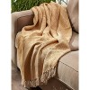 50"x60" Diamond Throw Blanket - Design Imports - image 3 of 4