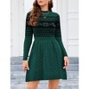 Women Long Sleeve Knitted Crewneck High Waist A-Line Cute Mini Sweater Dress - 3 of 4