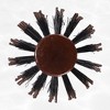 Unique Bargains Nylon Bristle Round Curling Hair Ruled Comb Brown 8.66" - 3 of 4