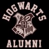 Boy's Harry Potter Hogwarts Alumni Crest Pull Over Hoodie - image 2 of 4