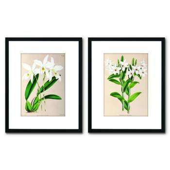 Americanflat 2 Piece 16x20 Wrapped Canvas Set - Fitch Orchid
by New York Botanical Garden - botanical  Wall Art