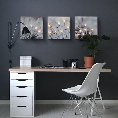 Set of 3 Lighted Dandelion Canvas Prints with Fir Wood Frame